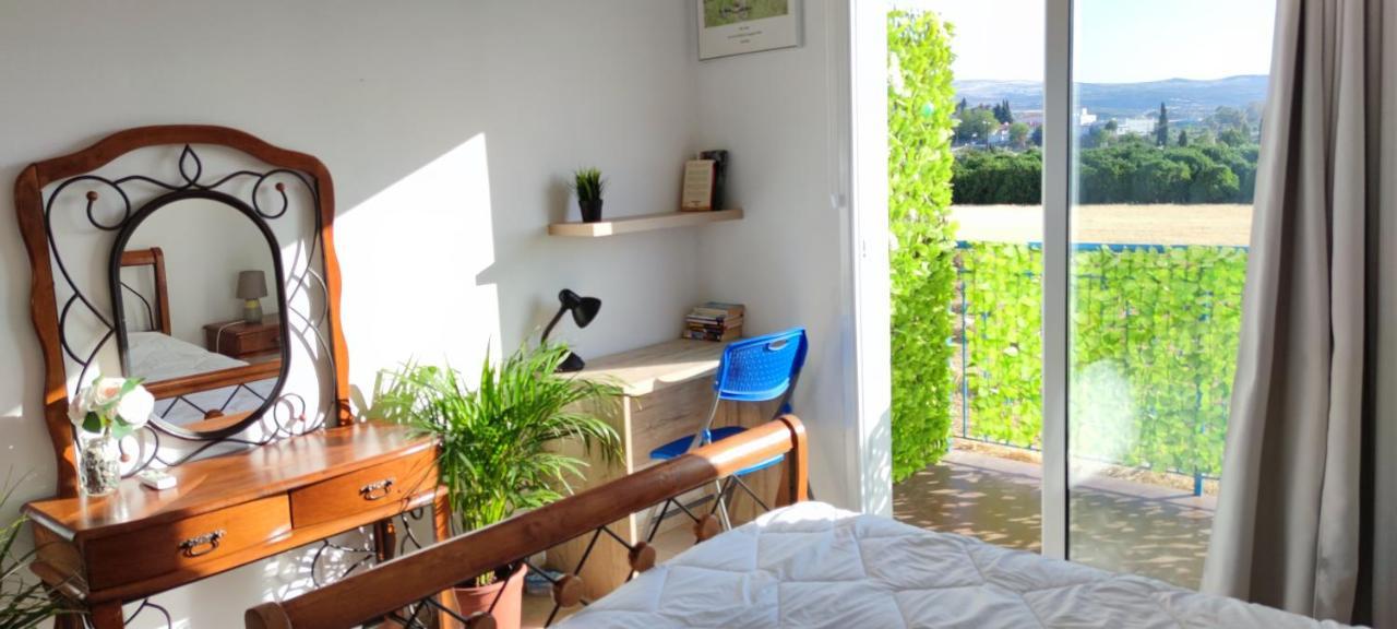 Thalassa Seaside Boutique Beach Apartment Polis Exterior photo