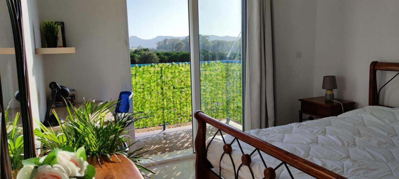 Thalassa Seaside Boutique Beach Apartment Polis Exterior photo